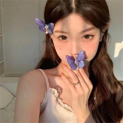 鲁邦三世:最后的工作