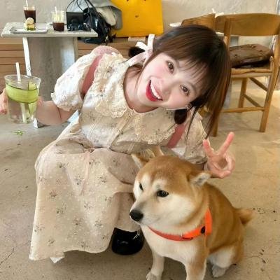 乌龙服务员