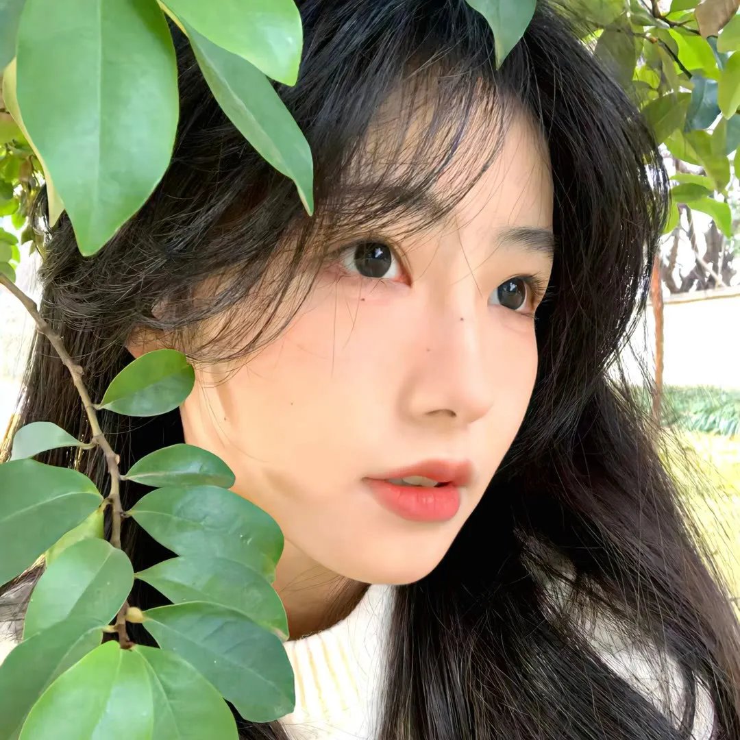 祝君早安国语